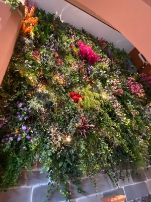 umbau marcusplatz fÜr aldente-3